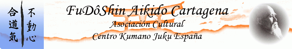 FudoShin aikido Cartagena